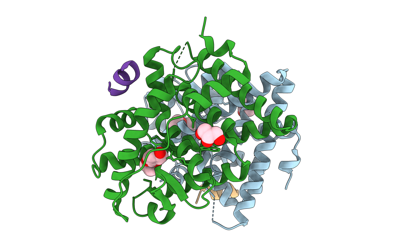 4MG9 image