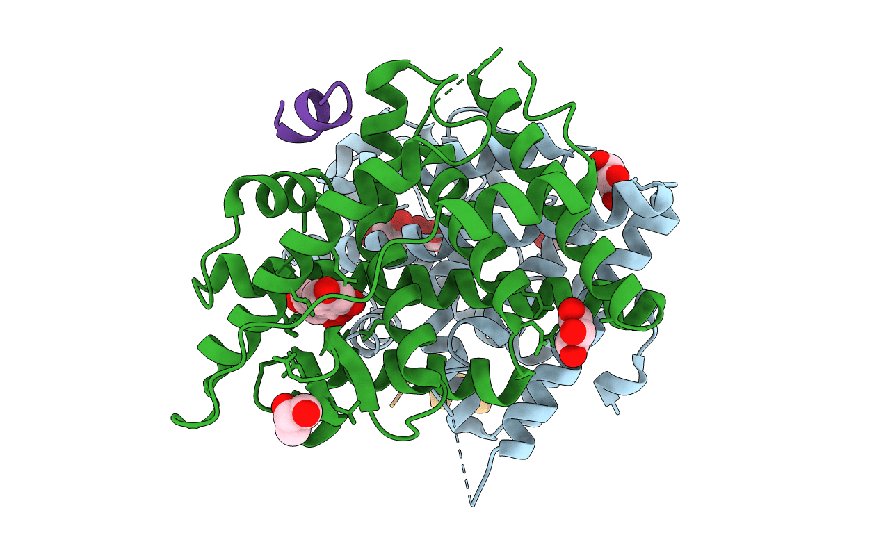 4MGC image