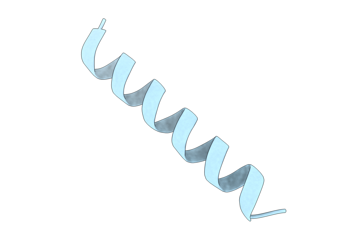 4MGP image