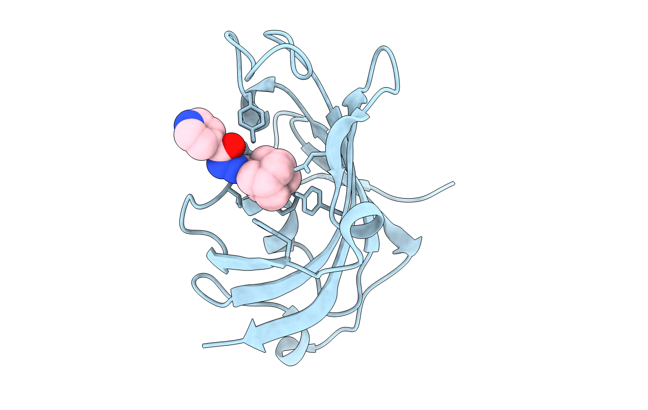 4MGV image