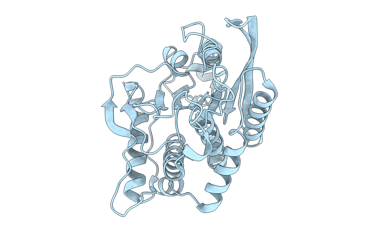 4MHP image