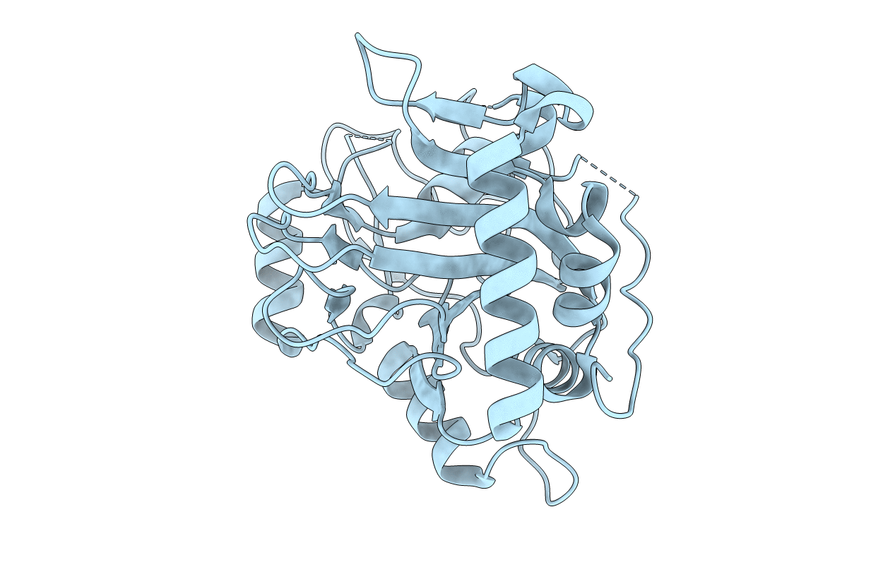 4MHR image