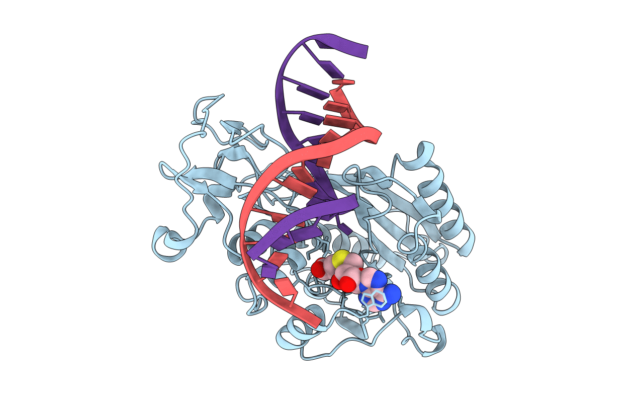 4MHT image