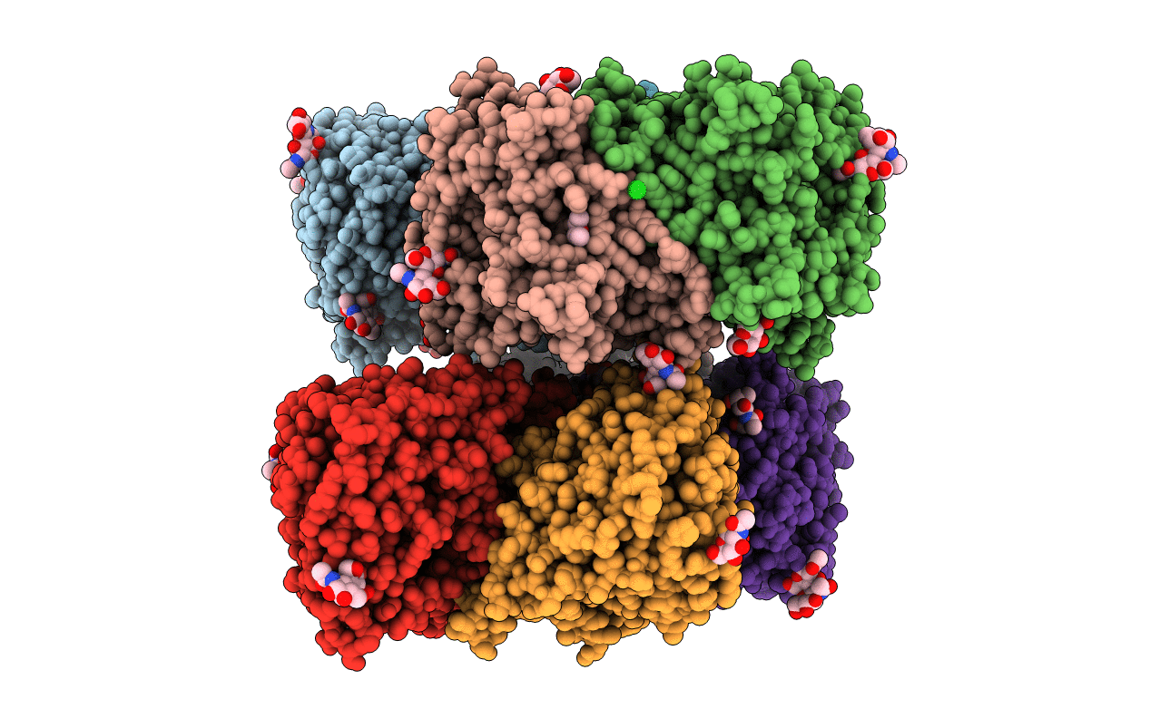 4MIV image