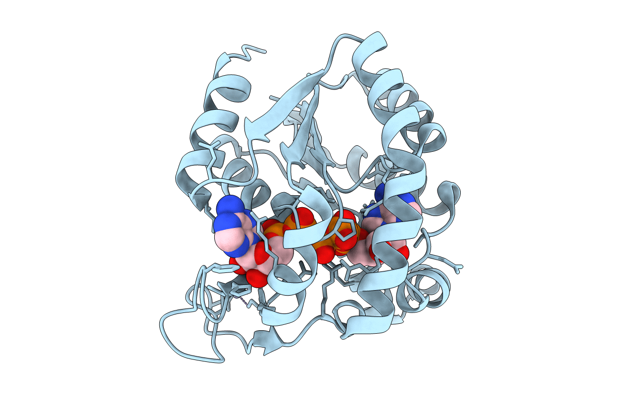 4MKG image