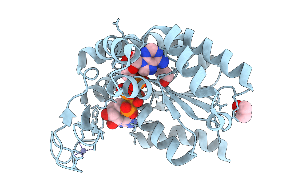 4MKH image