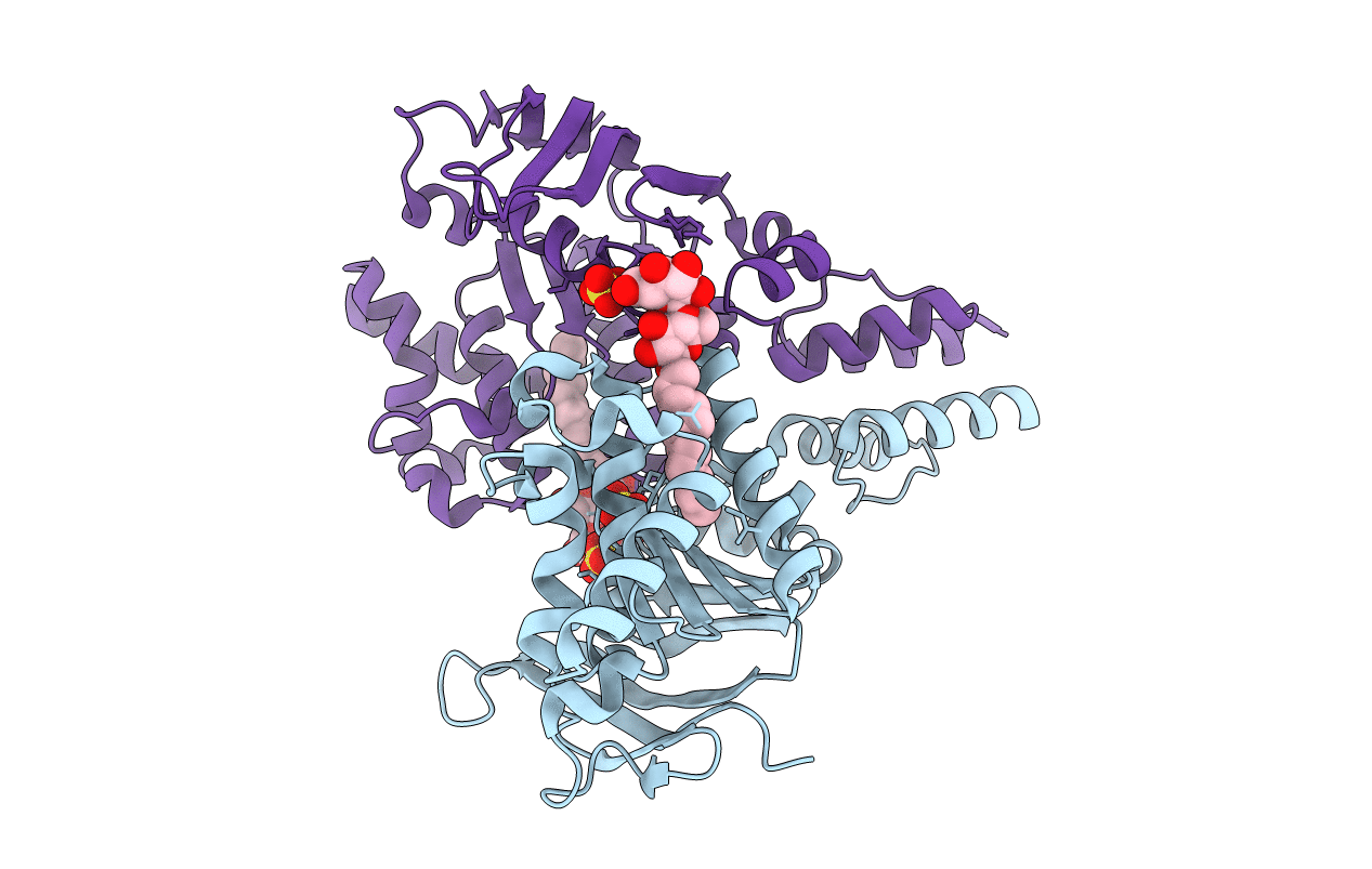 4MKI image