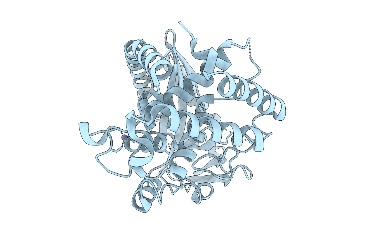 4MKP image