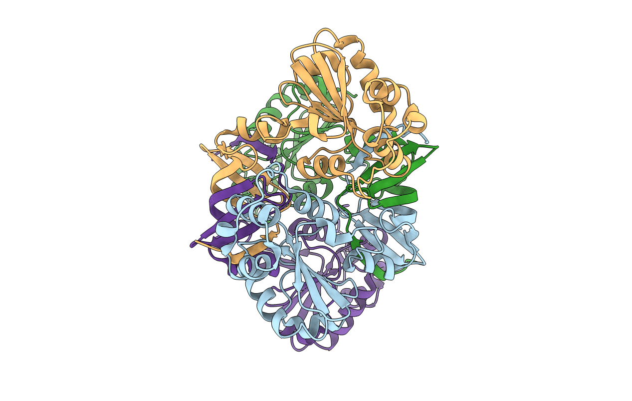 4ML1 image
