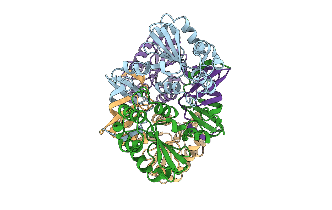 4ML6 image