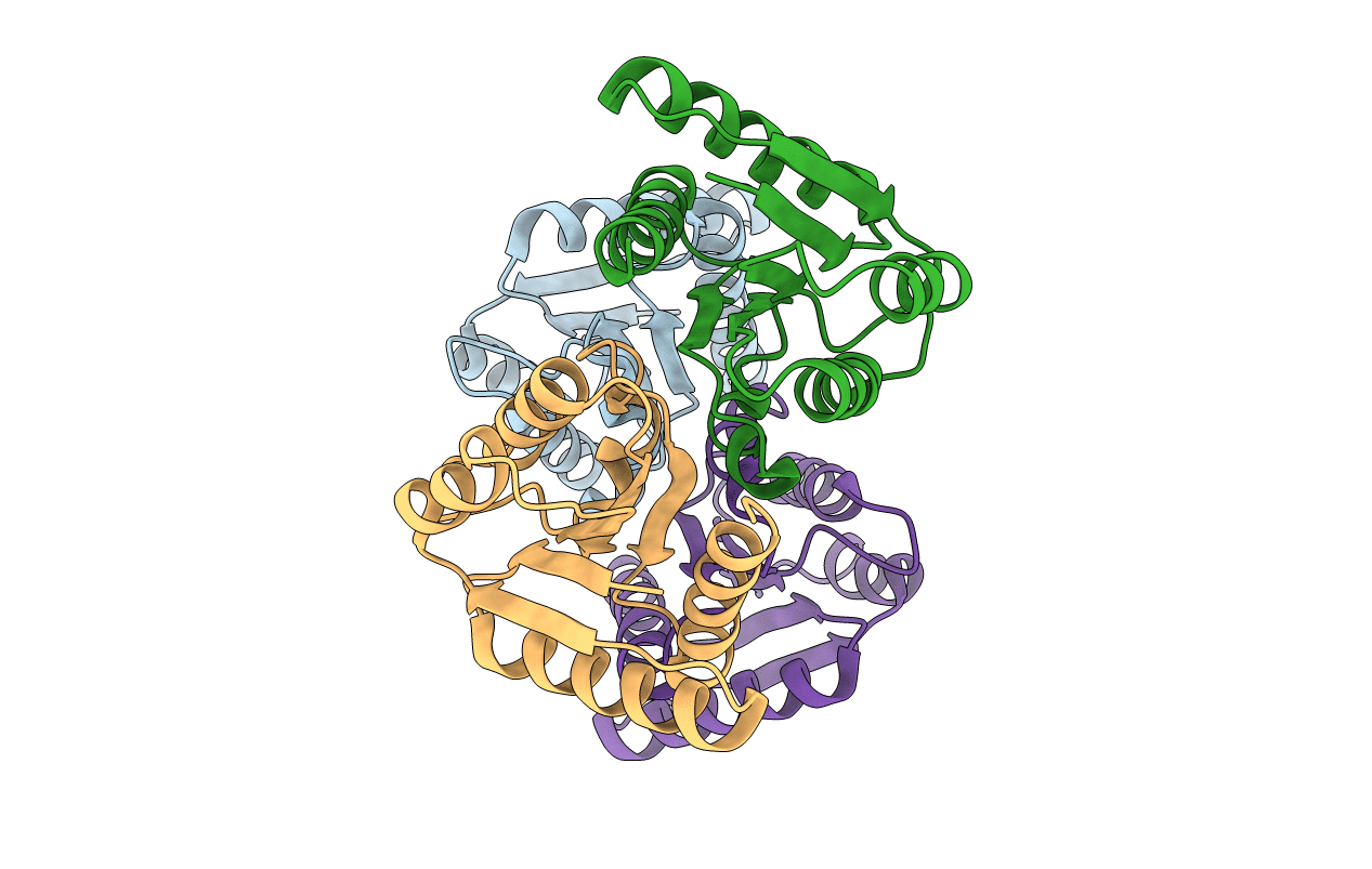 4MLD image