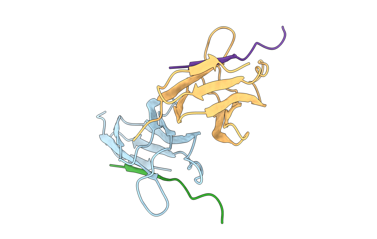4MLI image