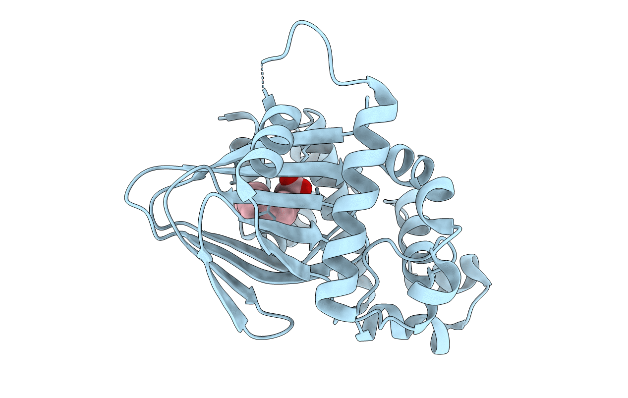 4MLO image