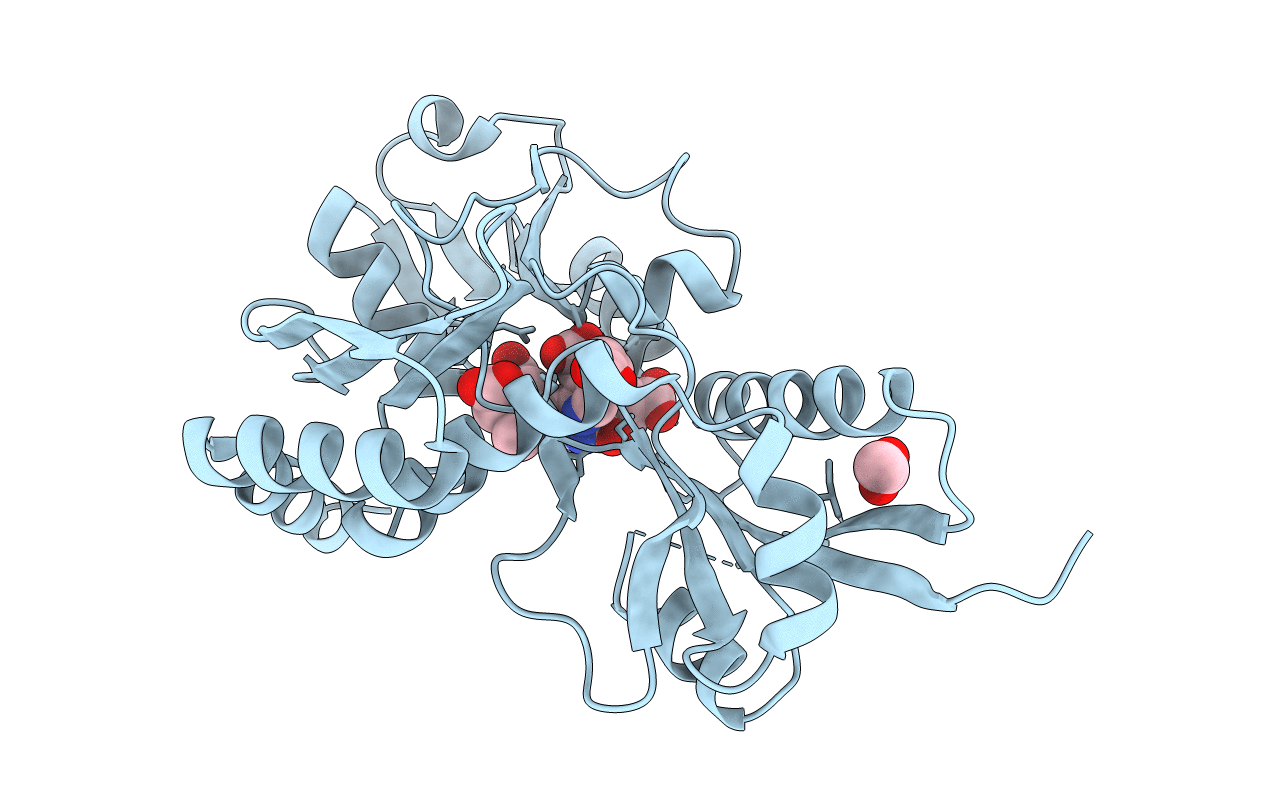 4MLQ image