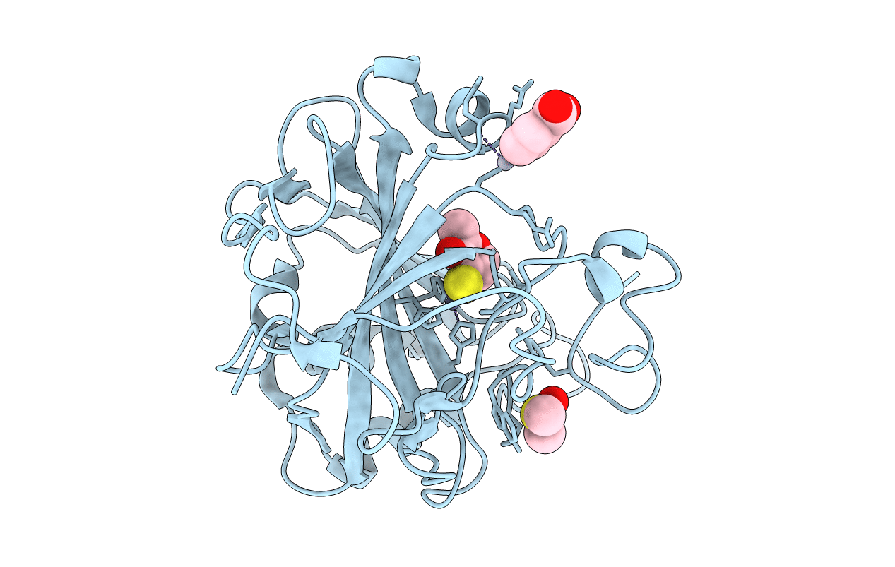 4MLT image