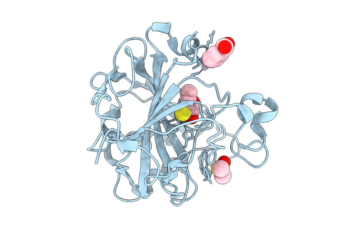 4MLX image
