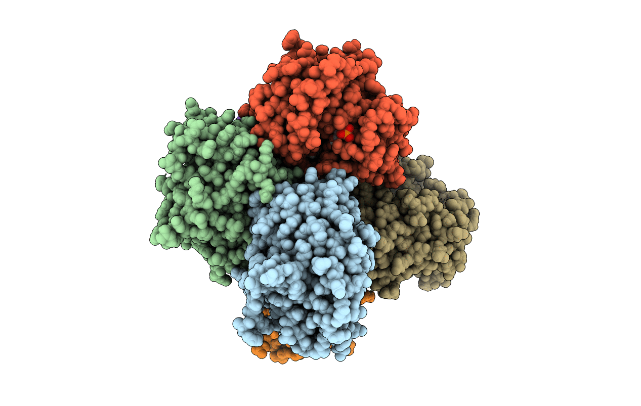 4MM1 image