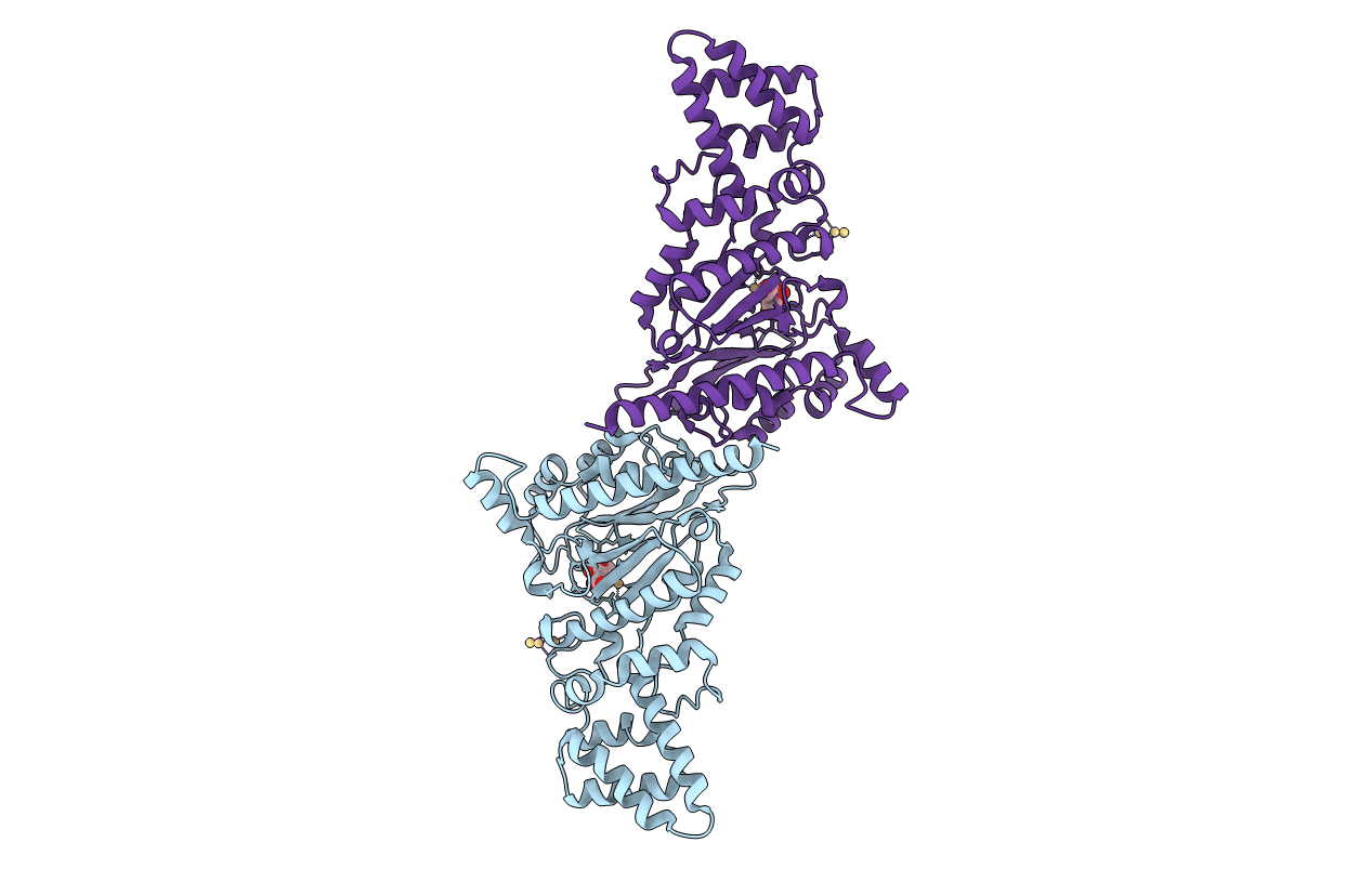 4MM2 image