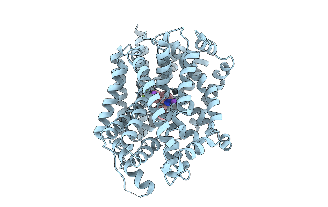 4MM9 image