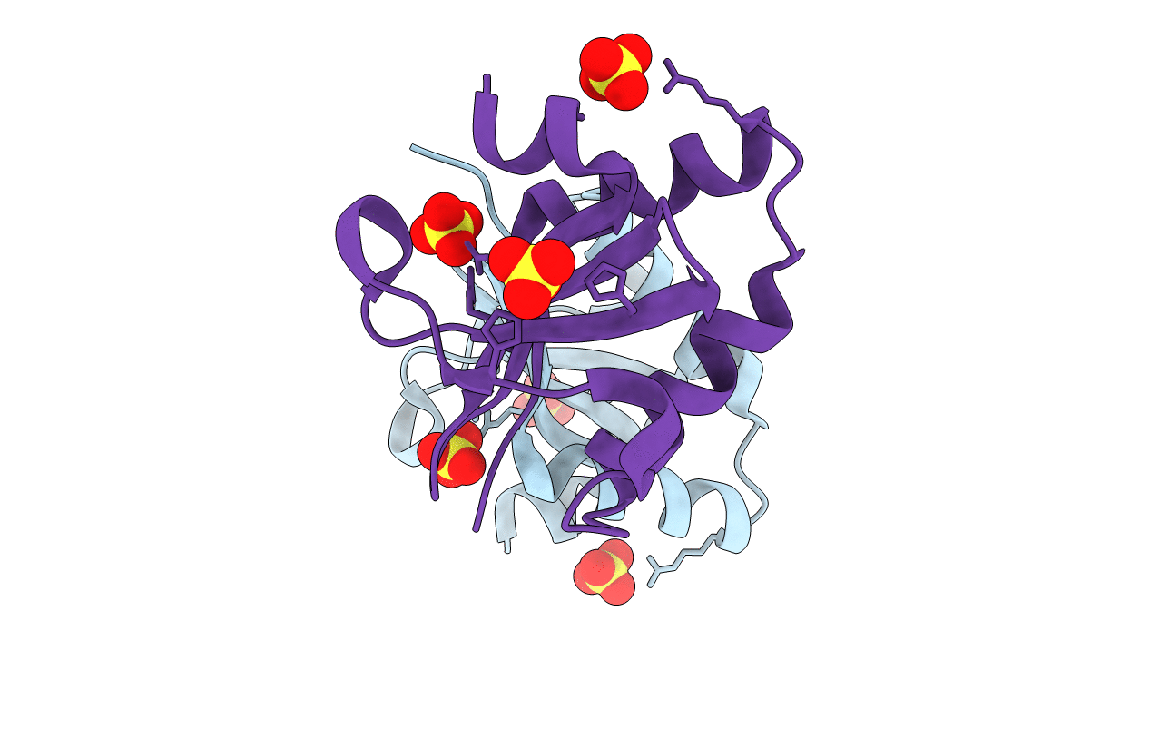 4MMG image