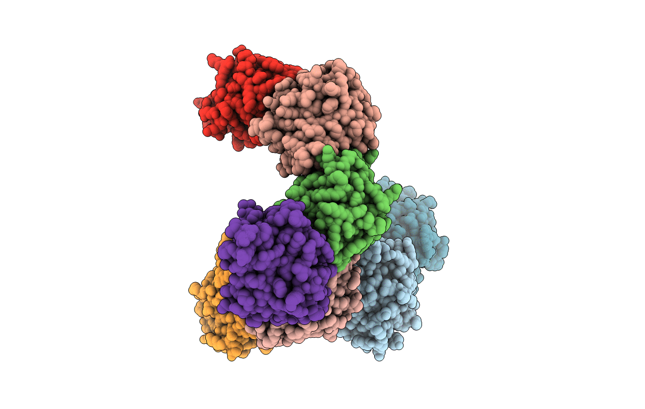 4MMN image