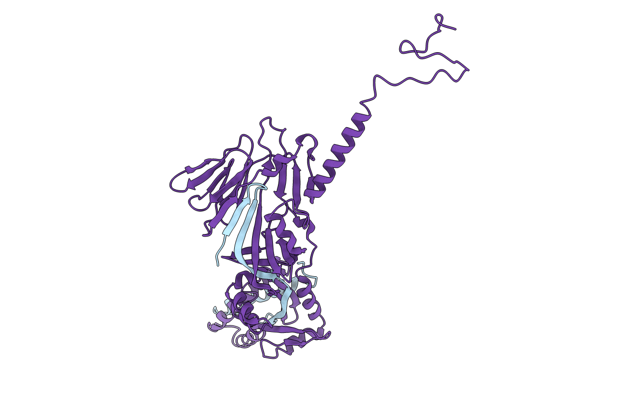 4MMV image