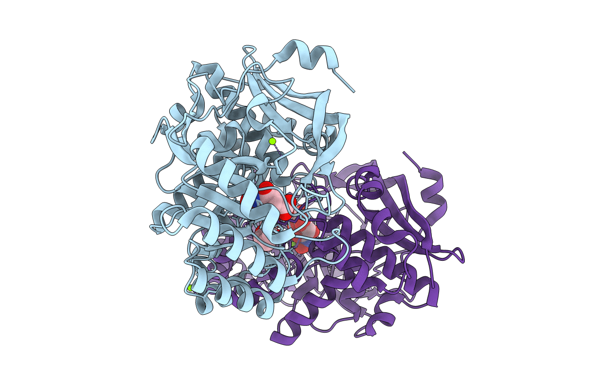 4MMW image