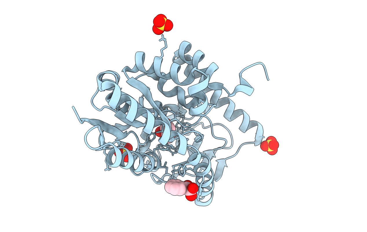 4MNC image