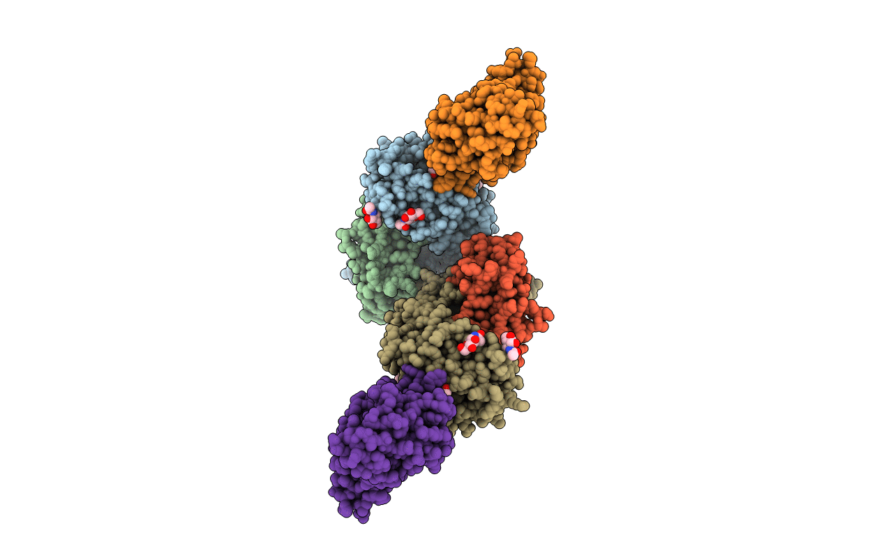 4MNG image