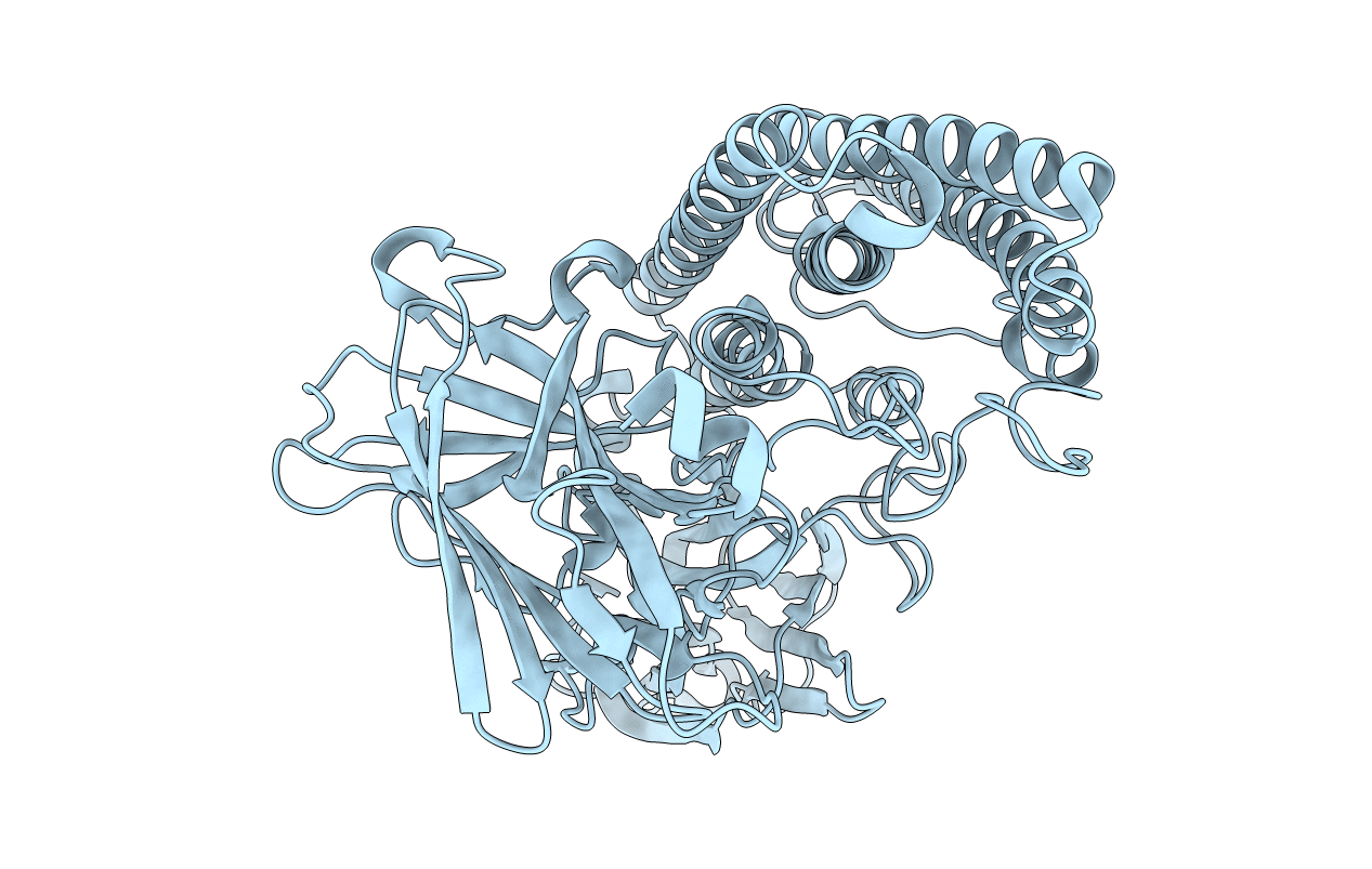 4MOA image