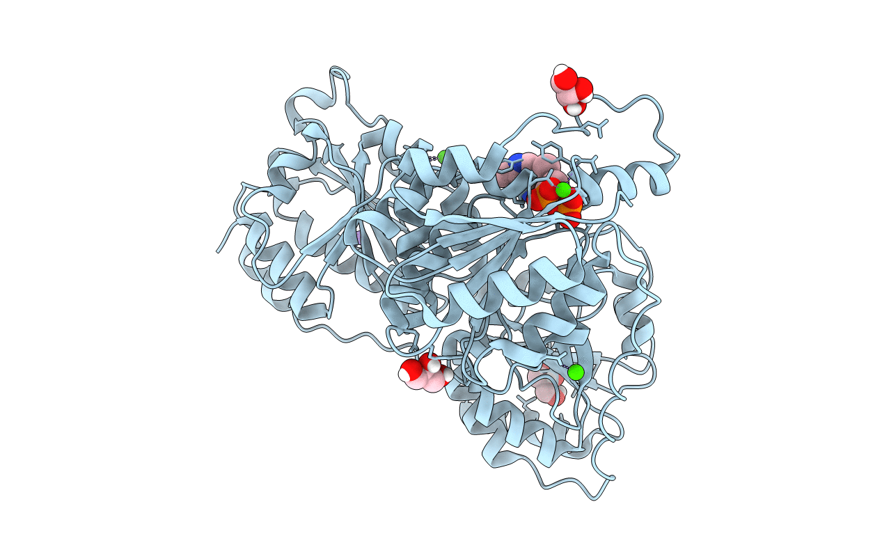 4MPR image