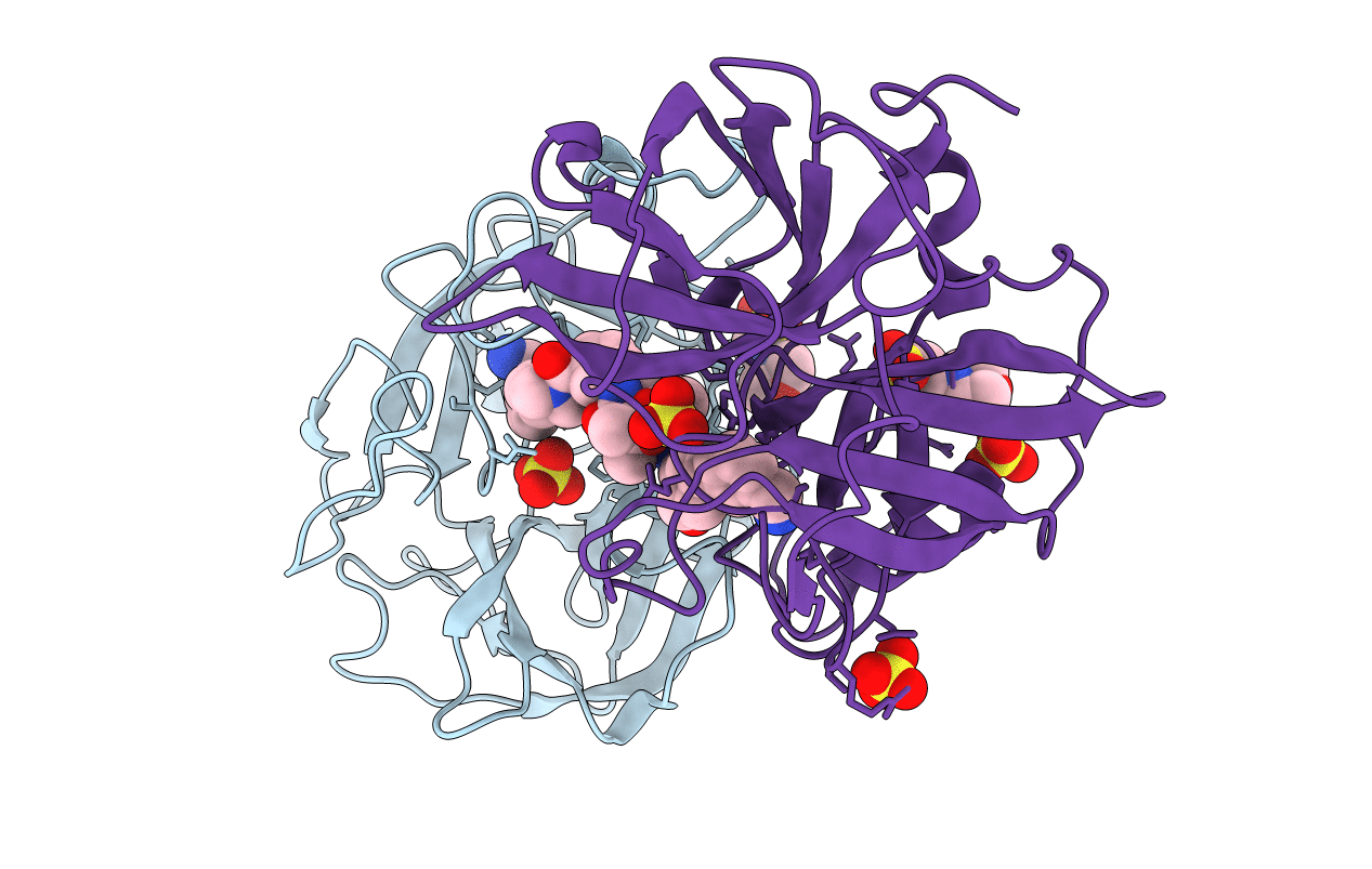 4MPV image