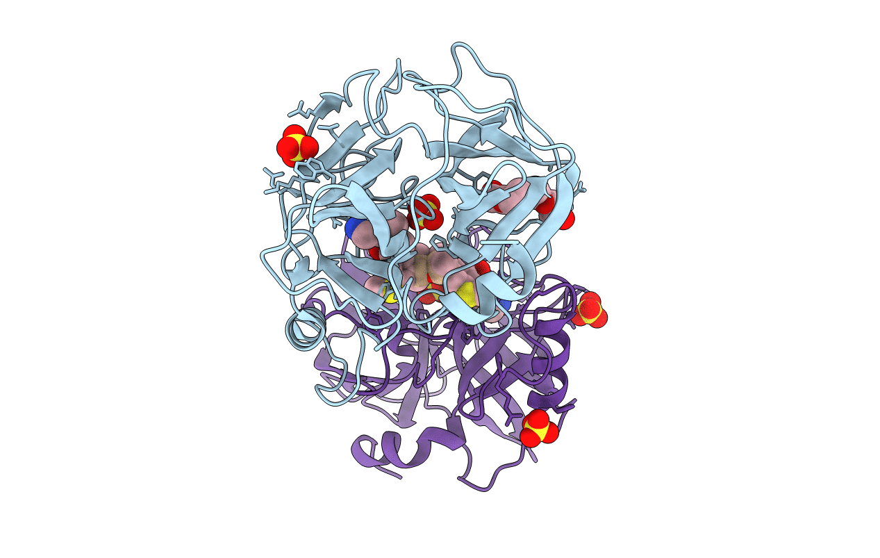 4MQA image