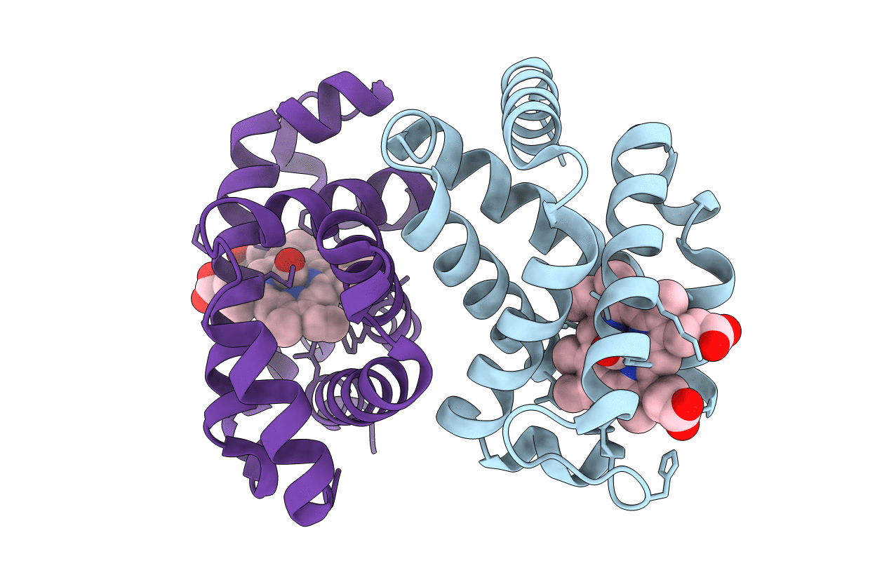 4MQG image