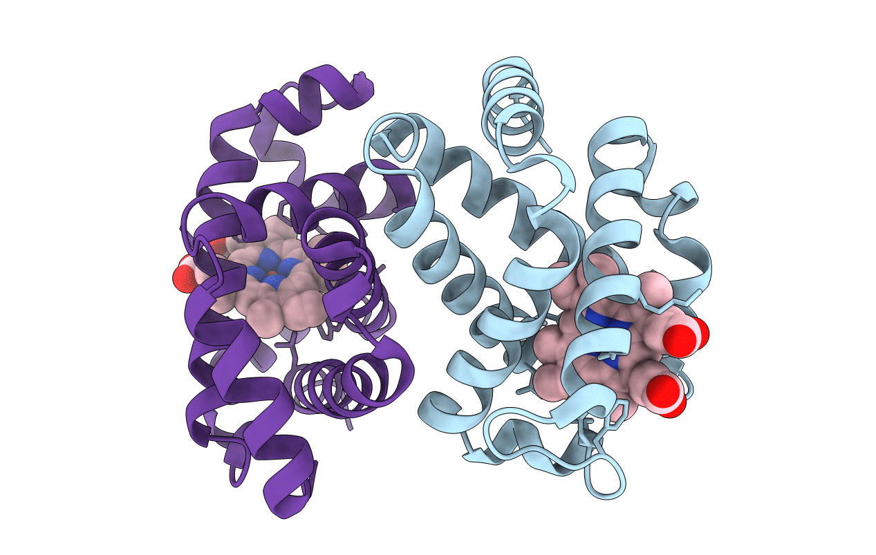 4MQH image