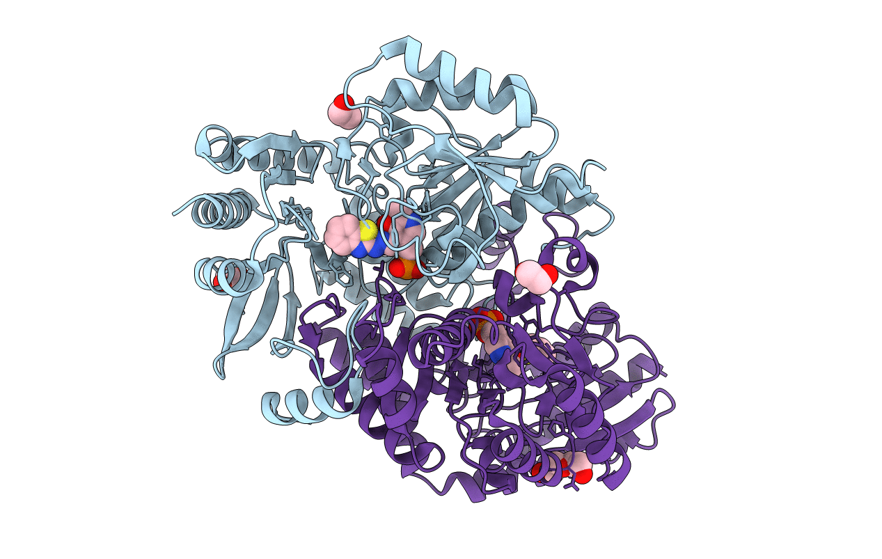 4MQP image