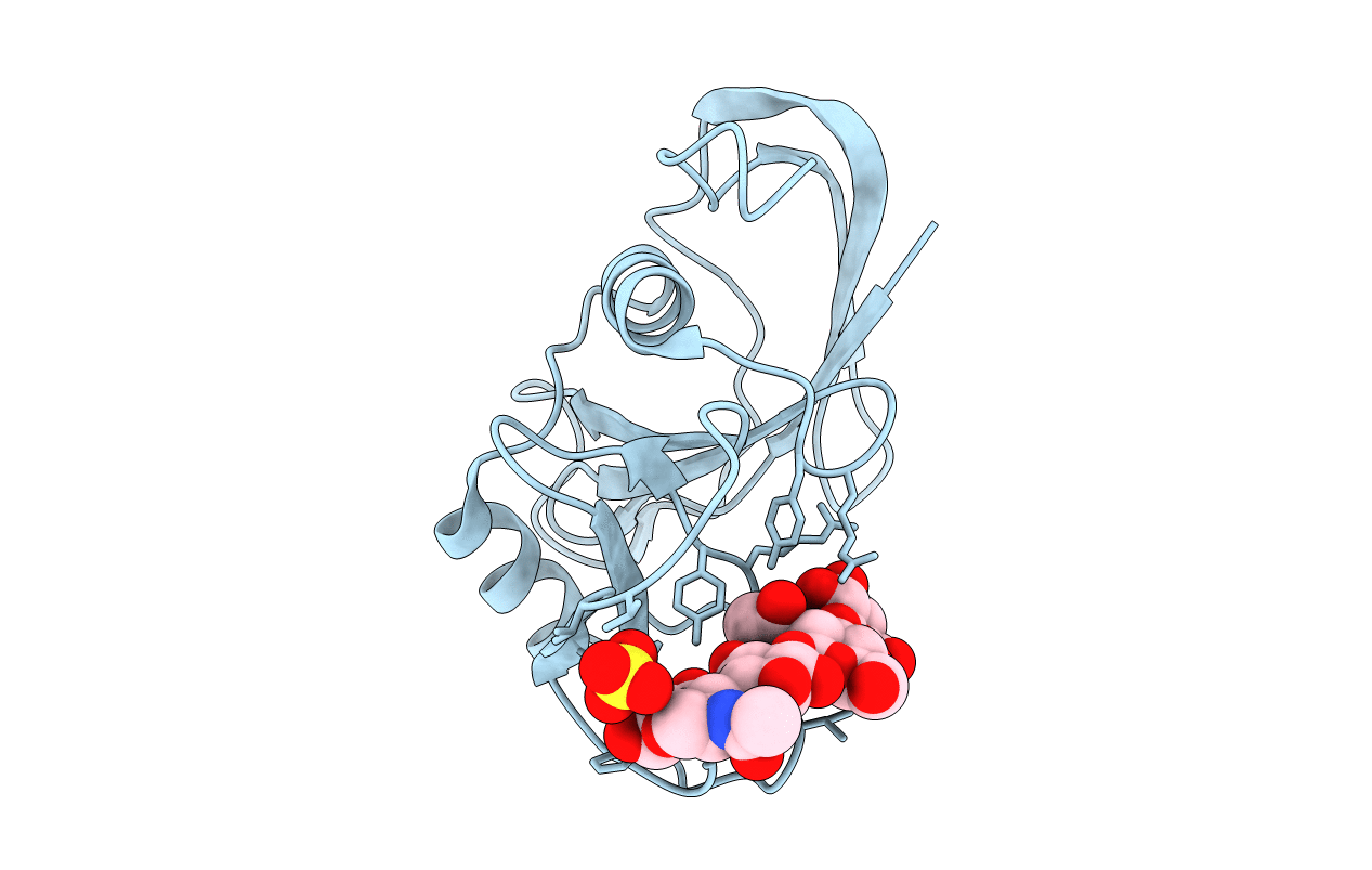 4MRD image
