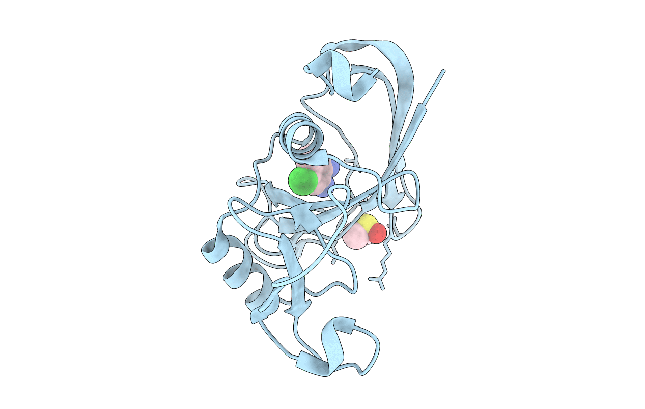 4MRH image