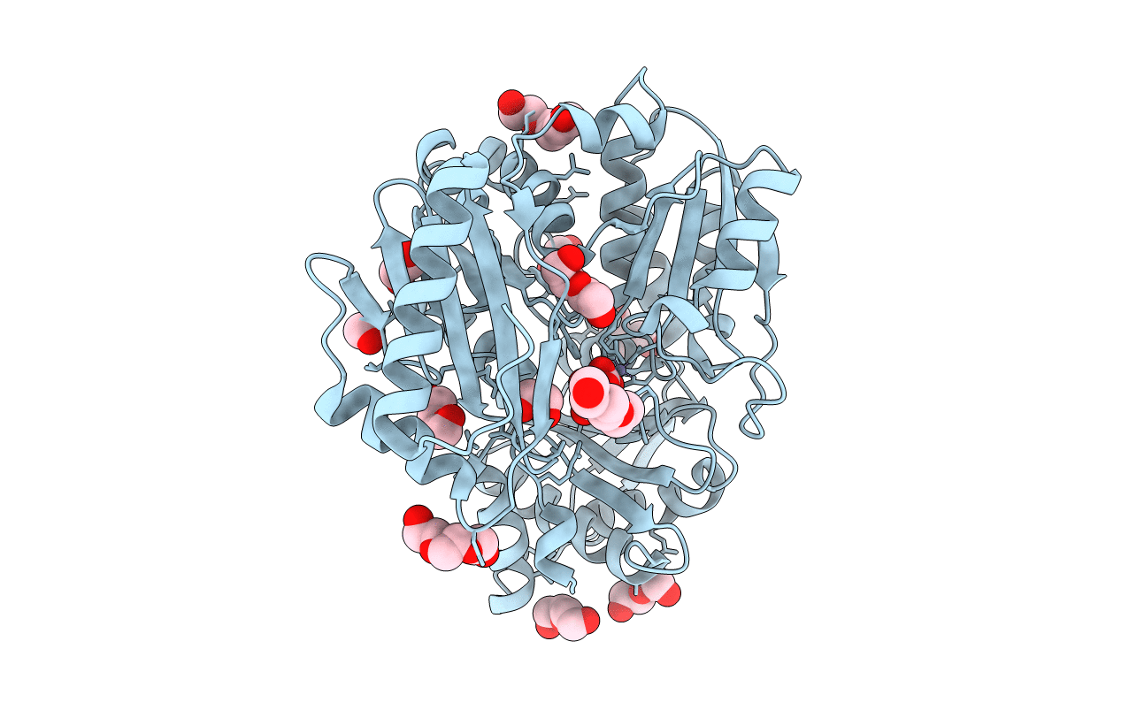 4MRQ image