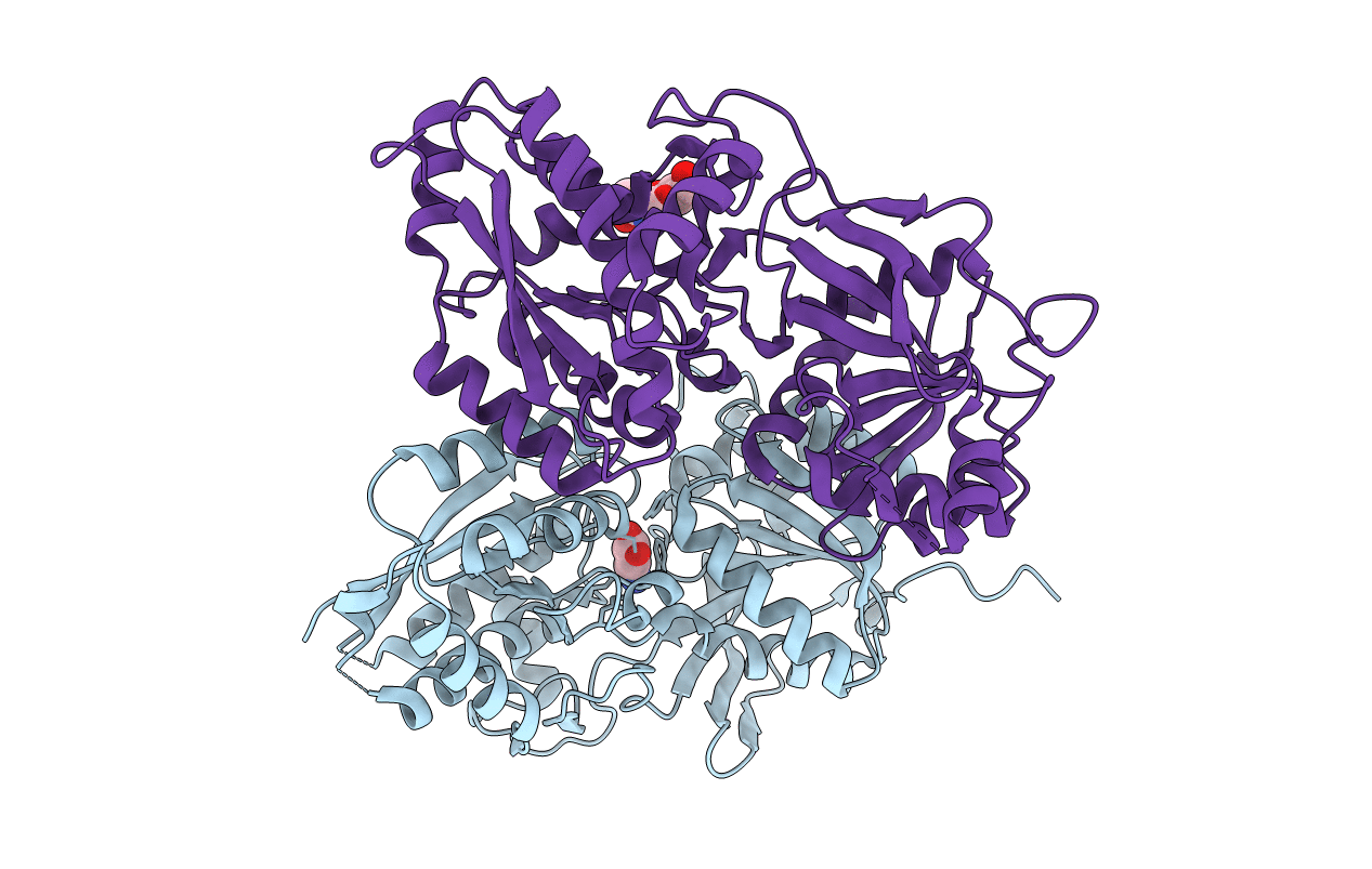 4MS3 image