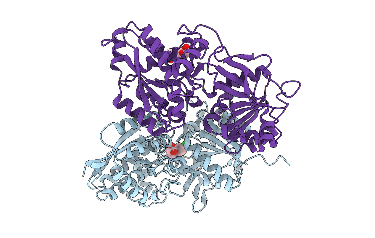 4MS4 image