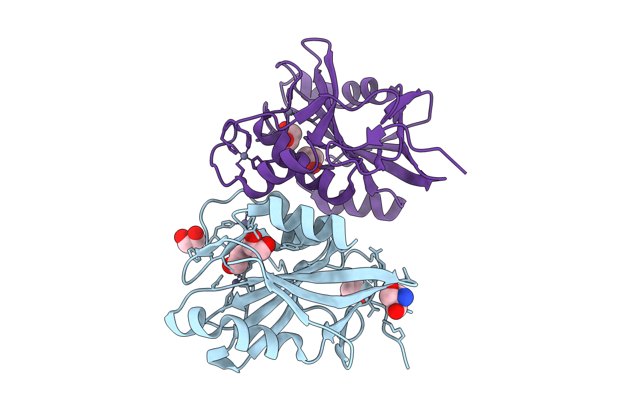 4MS7 image