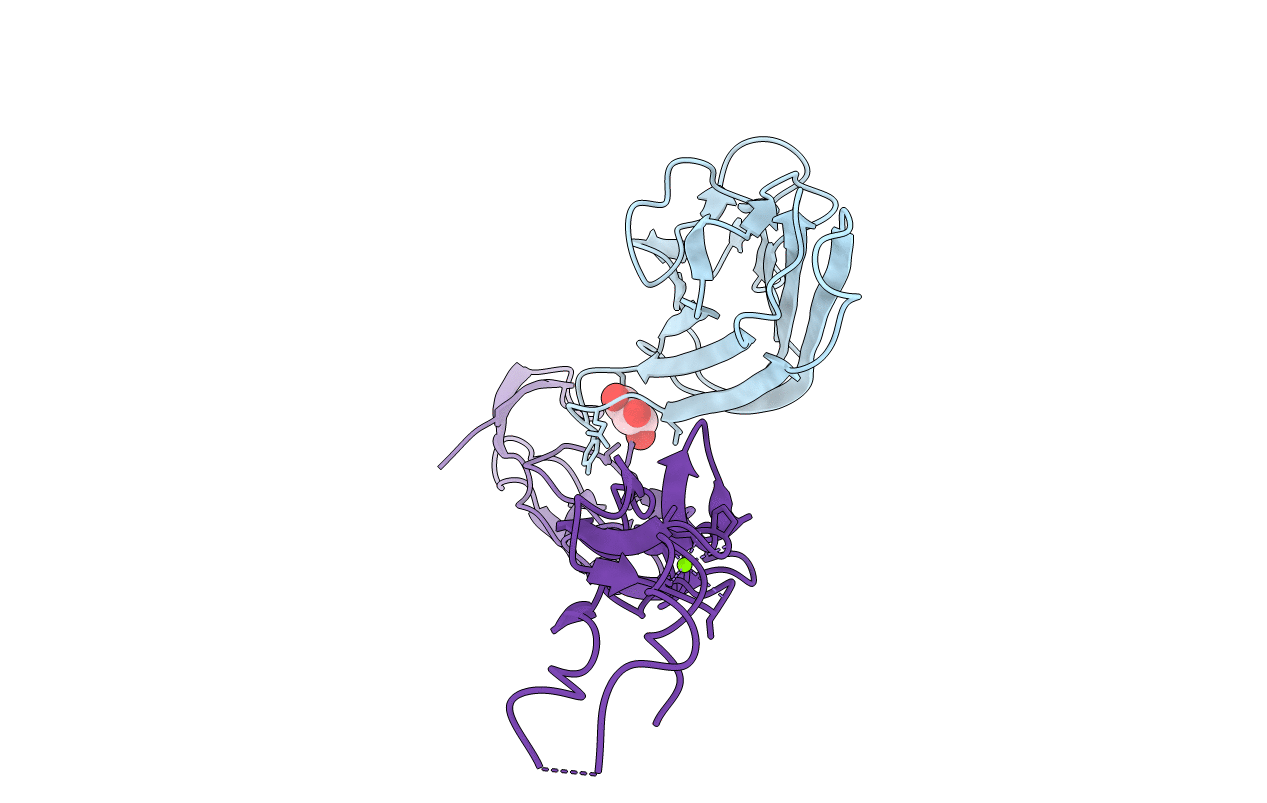 4MSV image