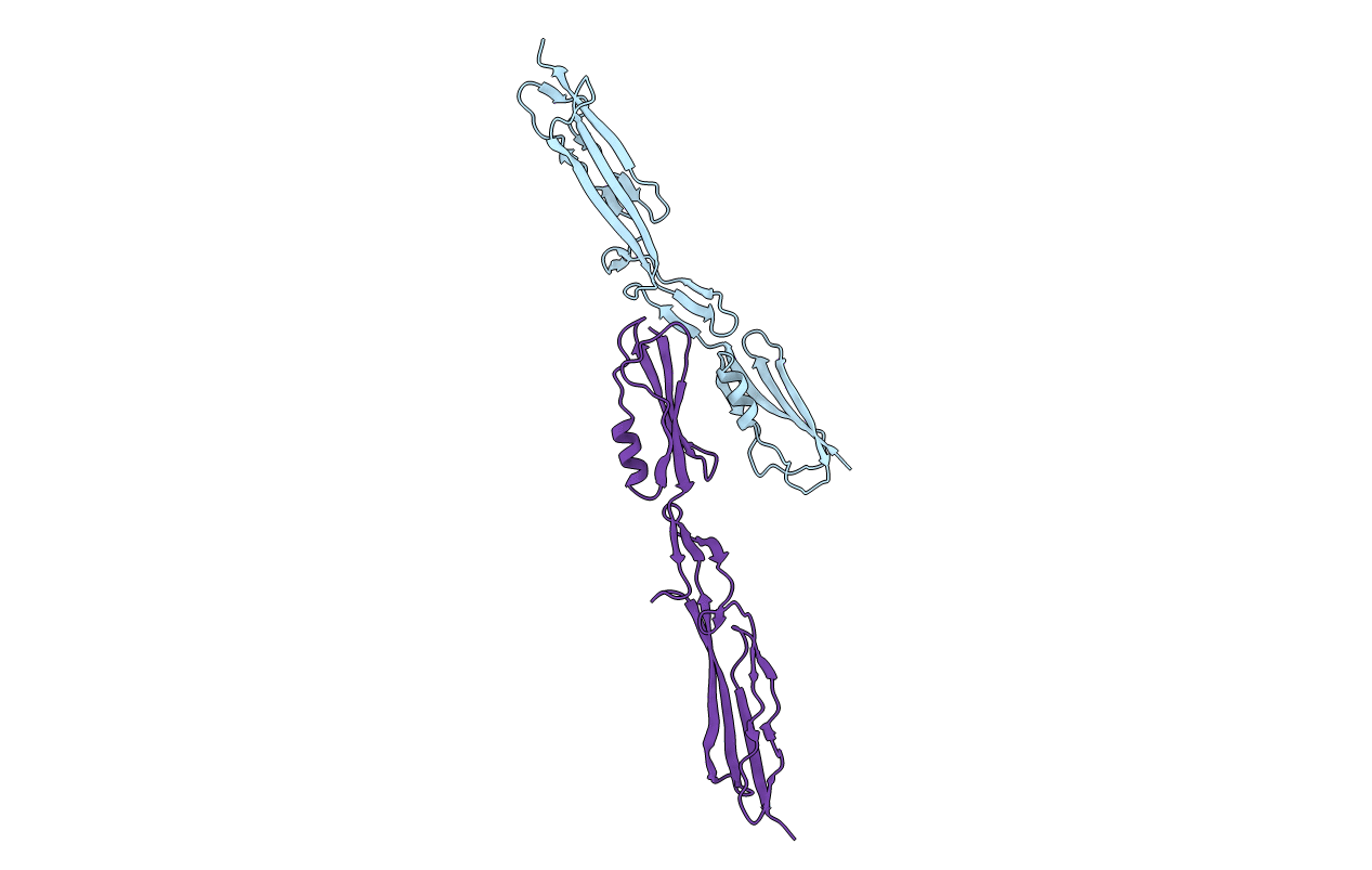 4MT5 image