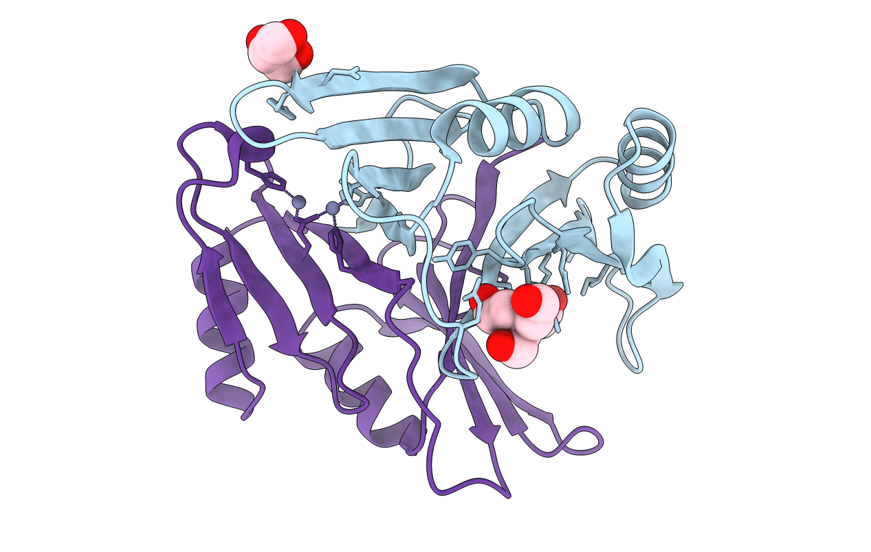 4MTT image