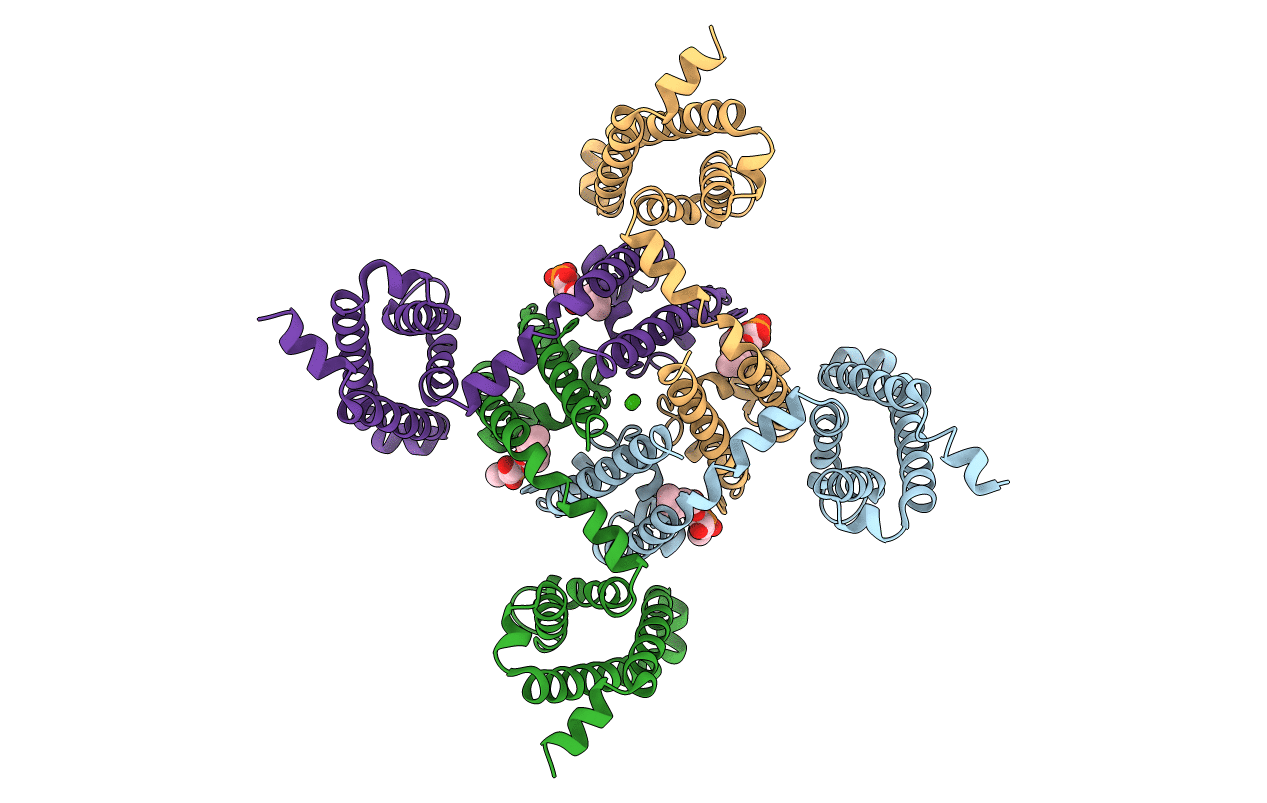 4MVO image