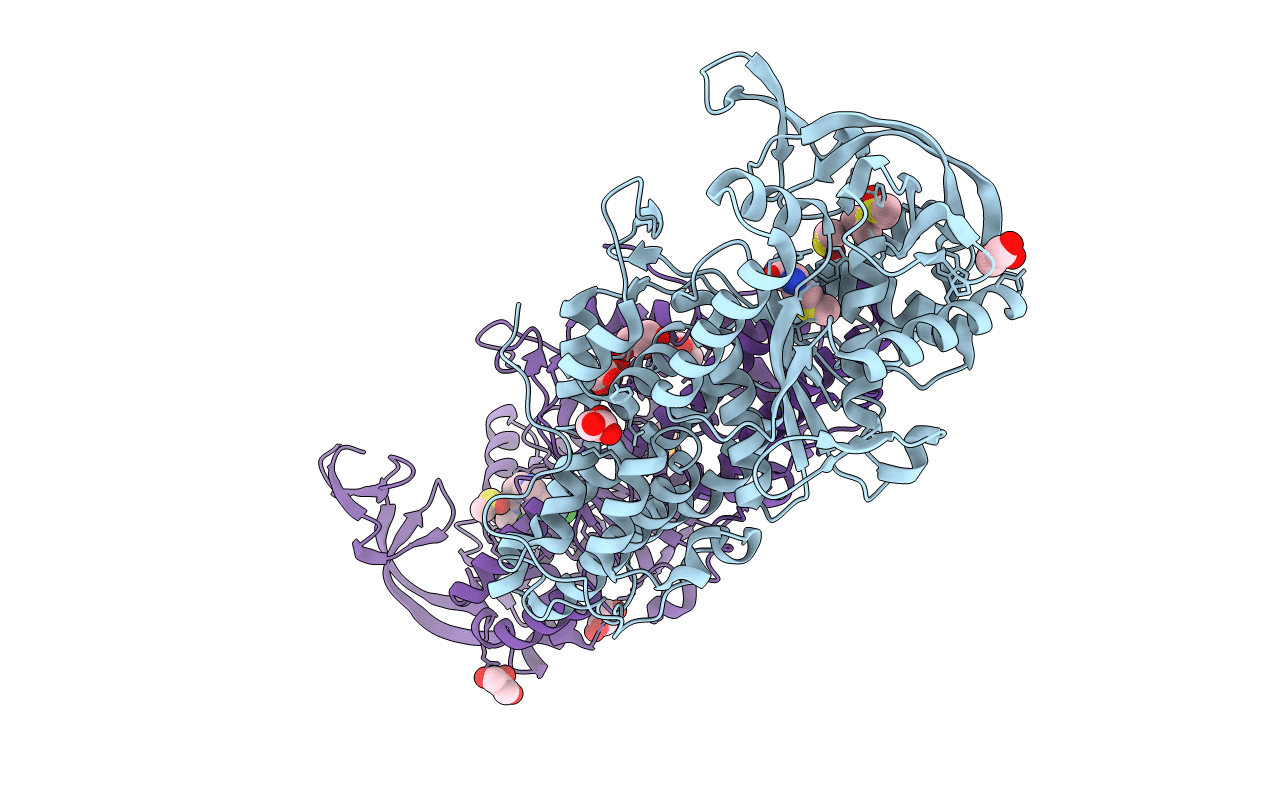 4MVX image