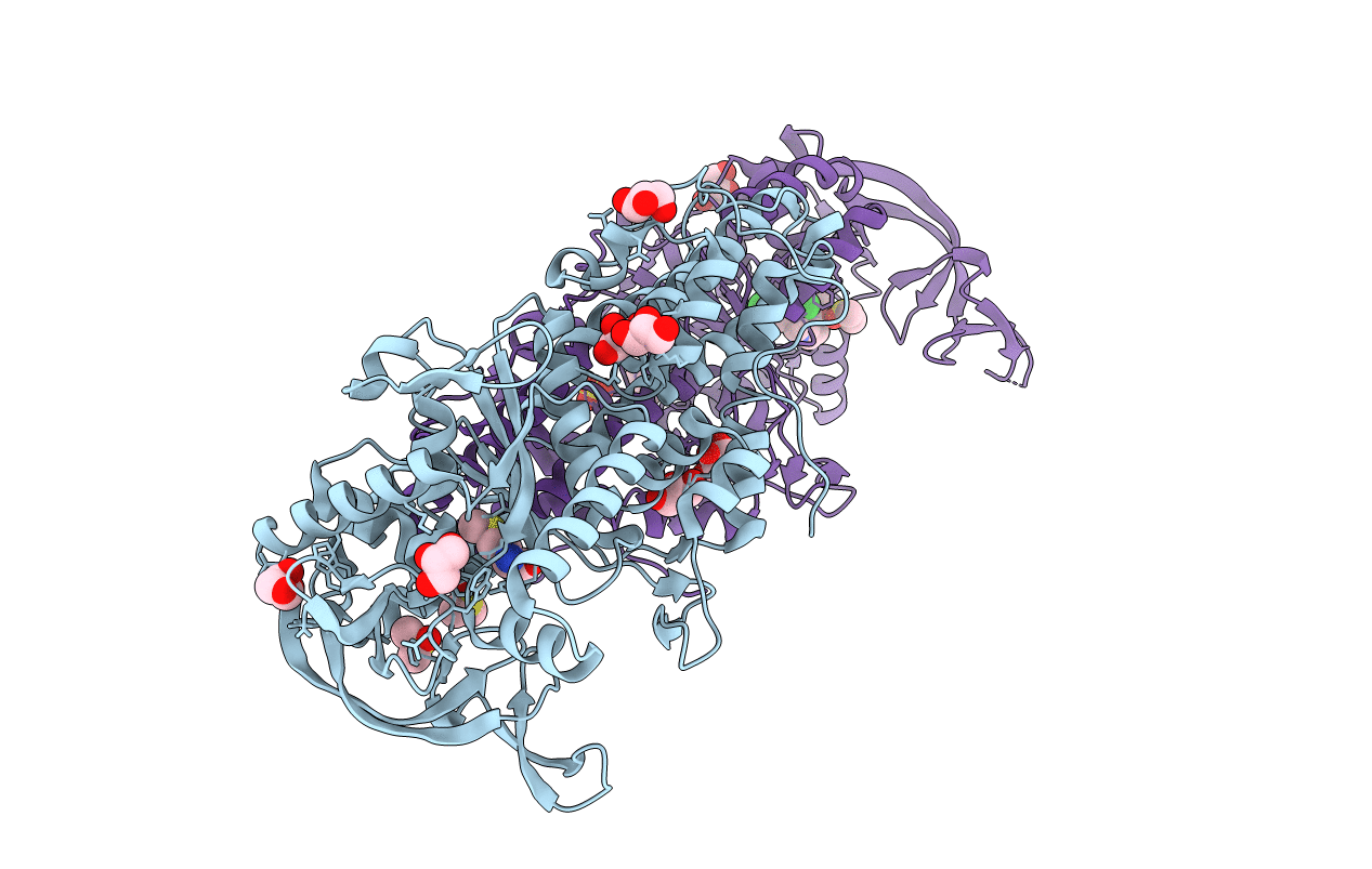4MWB image