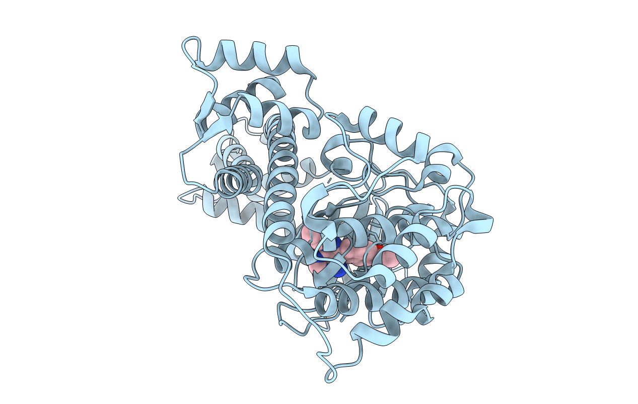 4MXA image