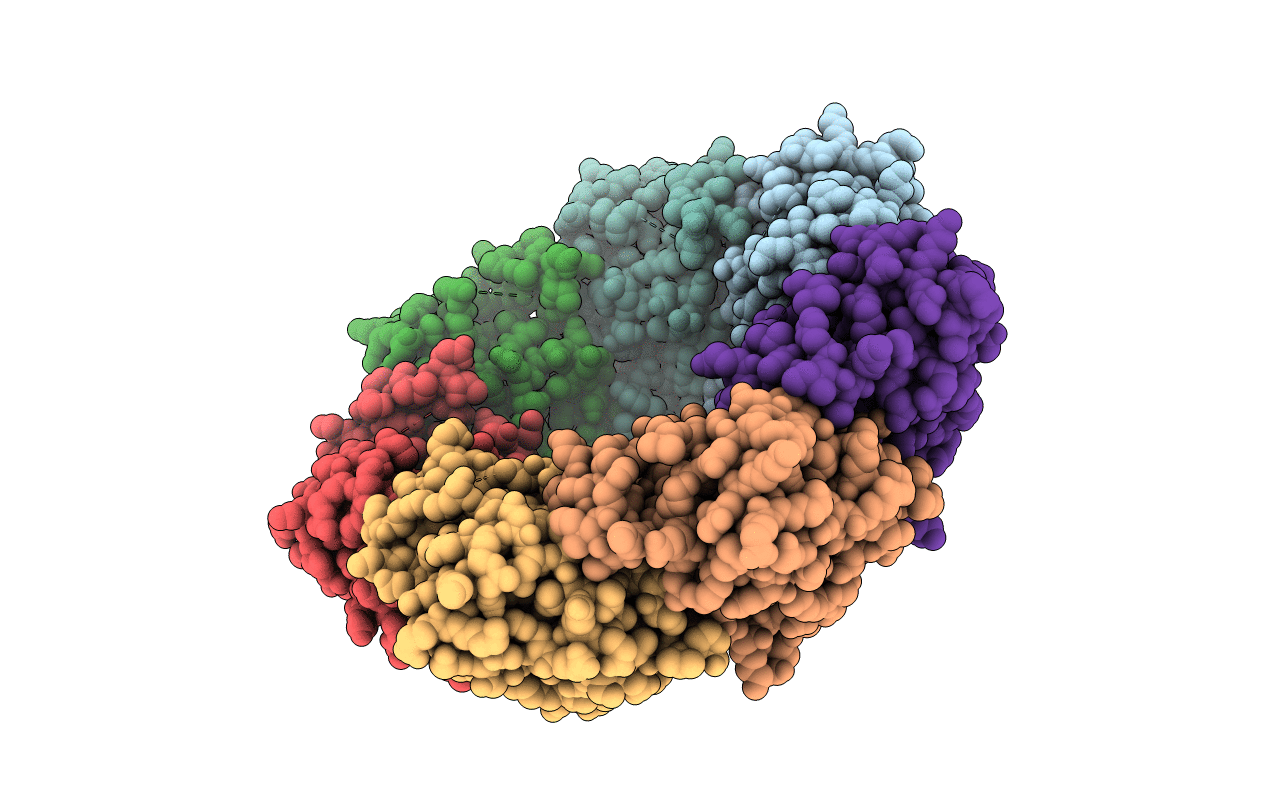 4MXI image
